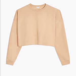 WeWoreWhat Cropped Sweatshirt - Tan - Size XS